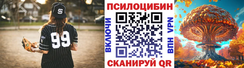 магазин продажи наркотиков  Городище  Псилоцибиновые грибы мицелий 
