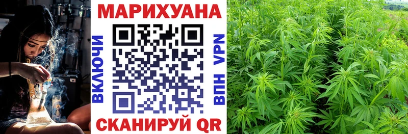 Бошки марихуана White Widow  кракен зеркало  Городище 